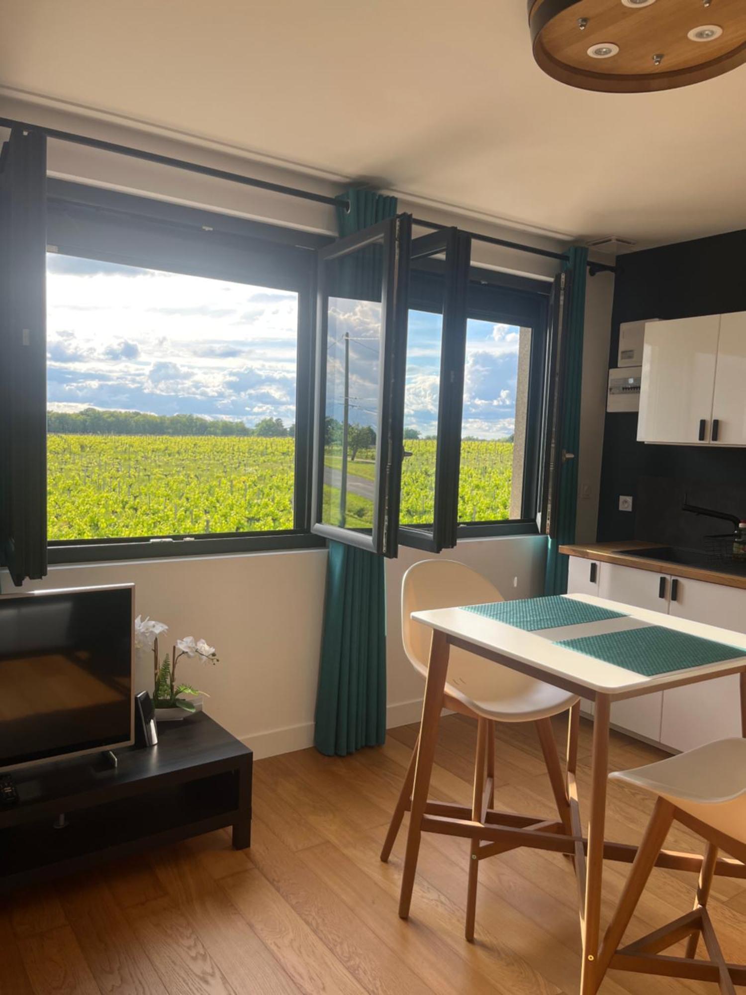 Appartement 2 Chateau La Rose Des Vents Пюиссеген Экстерьер фото